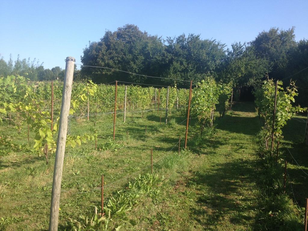 Kildegaarden Bed&Breakfast Frorup Zimmer foto